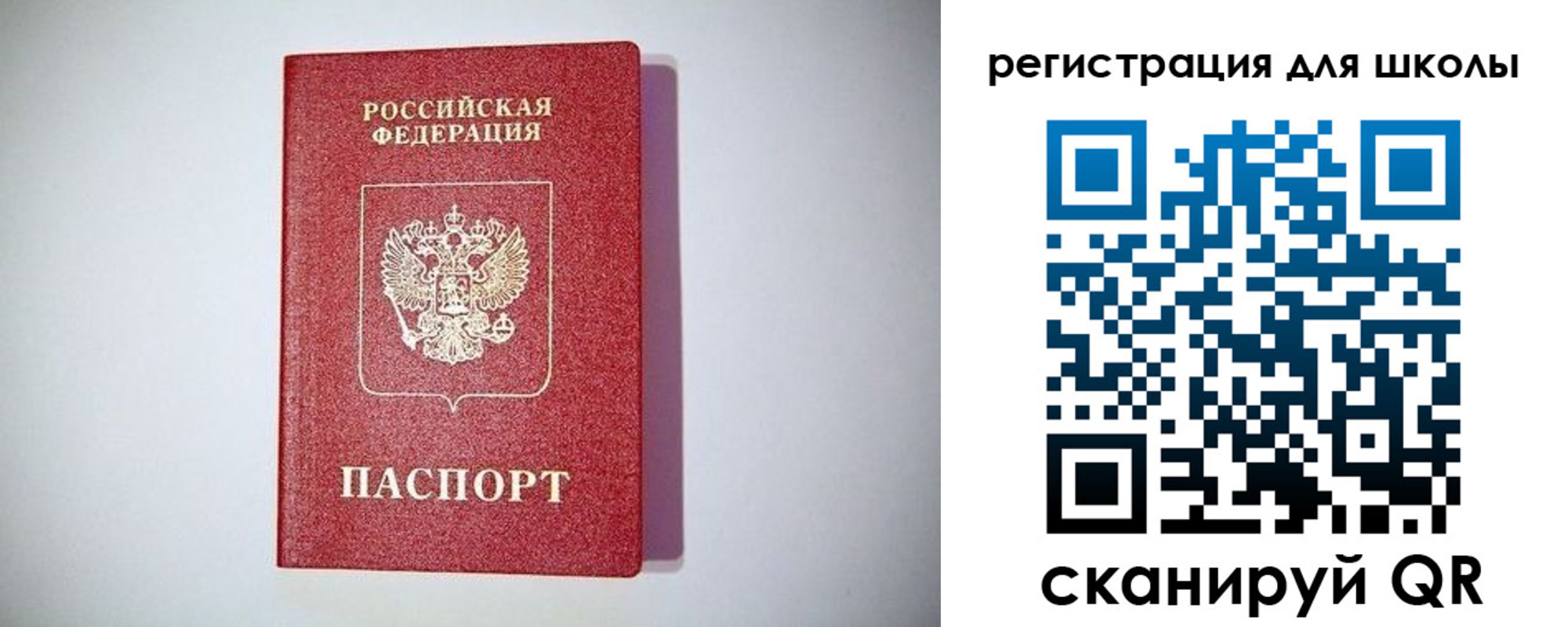 регистрация в Светлом